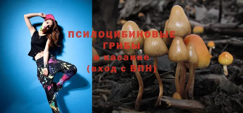 Псилоцибиновые грибы Psilocybe  купить  сайты  Лысьва 